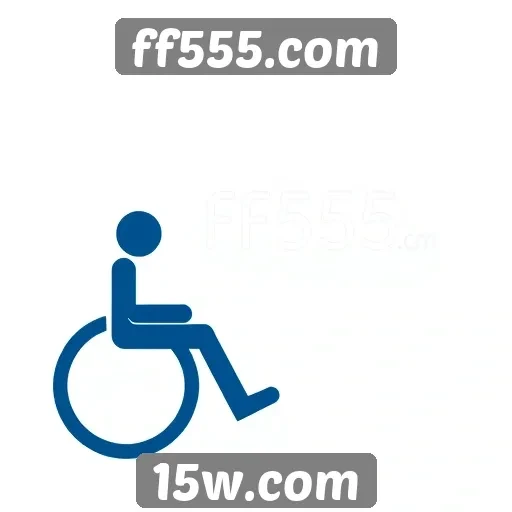 Acessibilidade e usabilidade do site ff555.com